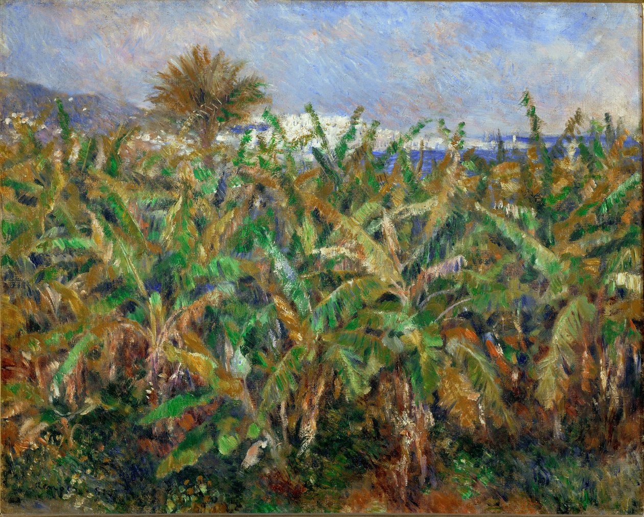 Banana Fields by Pierre Auguste Renoir