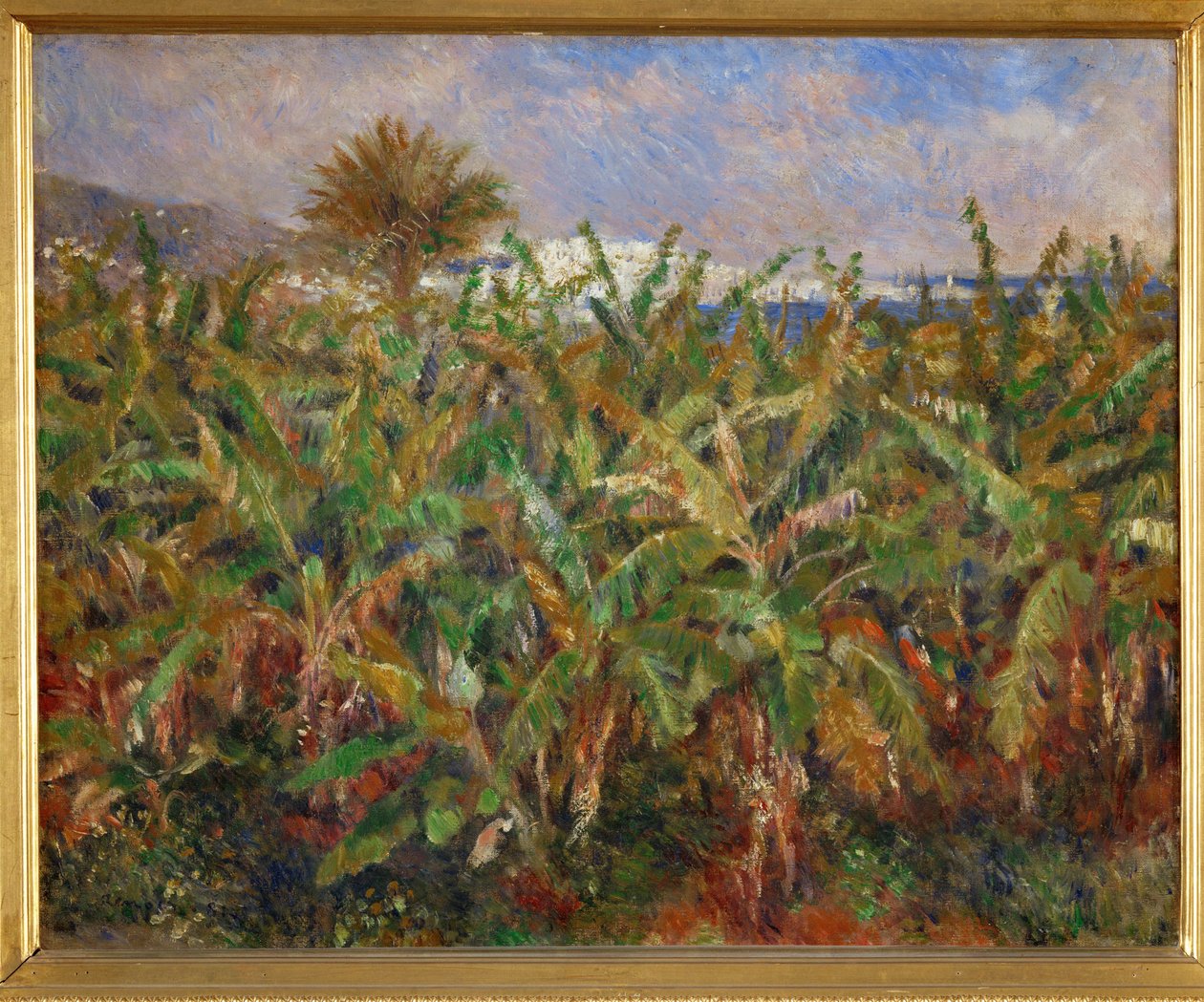 Banana Fields by Pierre Auguste Renoir
