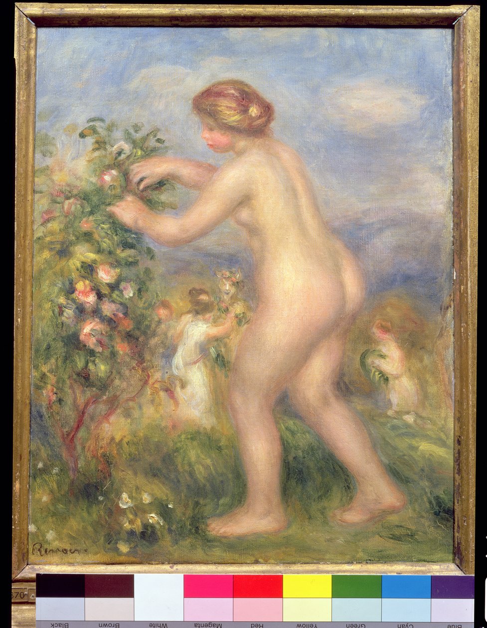 Female Nude Picking Flowers by Pierre Auguste Renoir