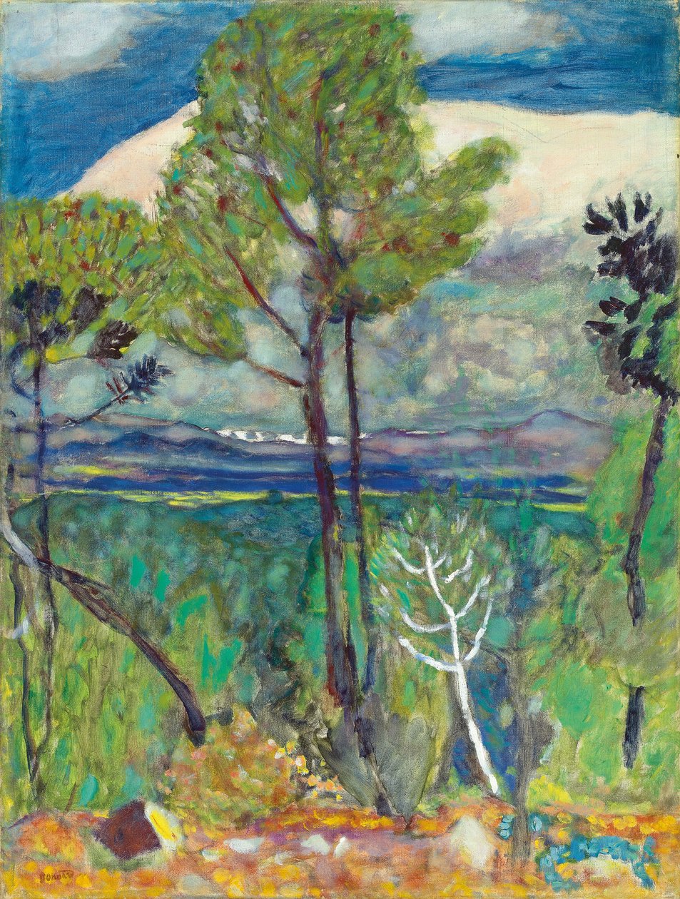 The Pines, By the Sea, c.1923 by Pierre Bonnard