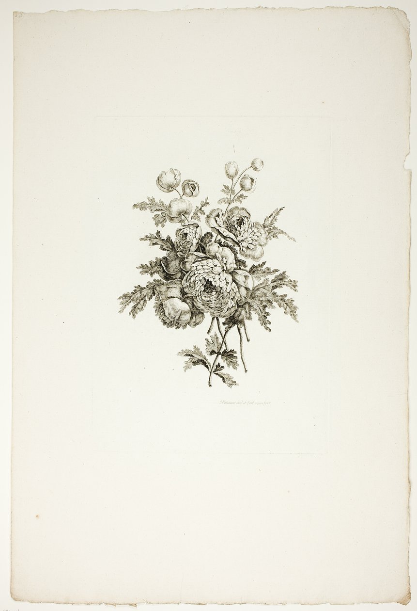 Bouquet with Peonies, from Collection of Different Bouquets of Flowers, Invented and Drawn by Jean Pillement and Engraved by P. C. Canot by Pierre Charles Canot