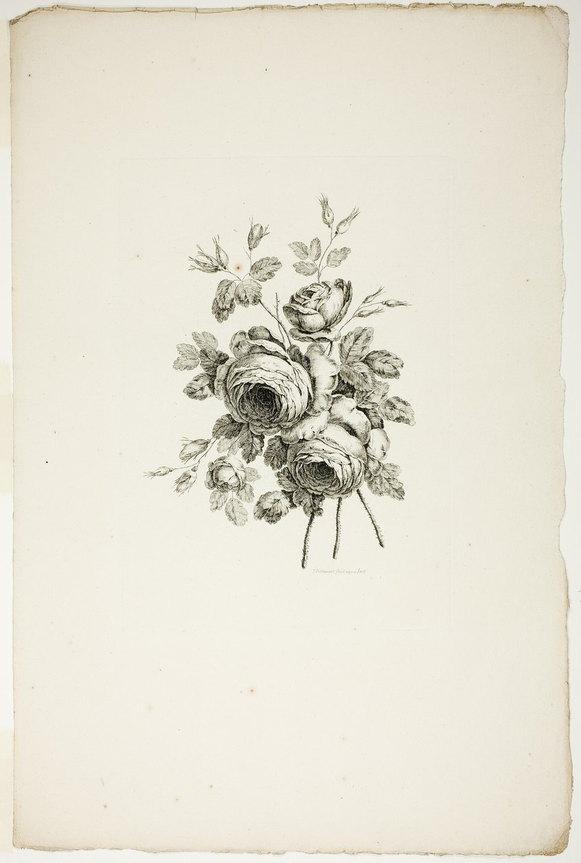 Bouquet with Roses, from Collection of Different Bouquets of Flowers, Invented and Drawn by Jean Pillement and Engraved by P. C. Canot by Pierre Charles Canot