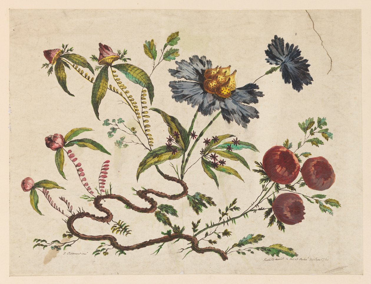 Flower Boughs, from "Collection of Different Fantasy Flowers in the Chinese Taste" by Pierre Charles Canot