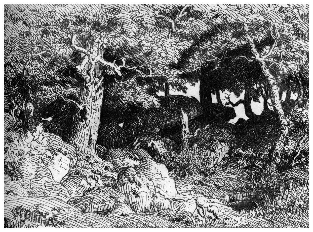 Les Chenes de Roche, c1832-1860, 1924 by Pierre Etienne Theodore Rousseau