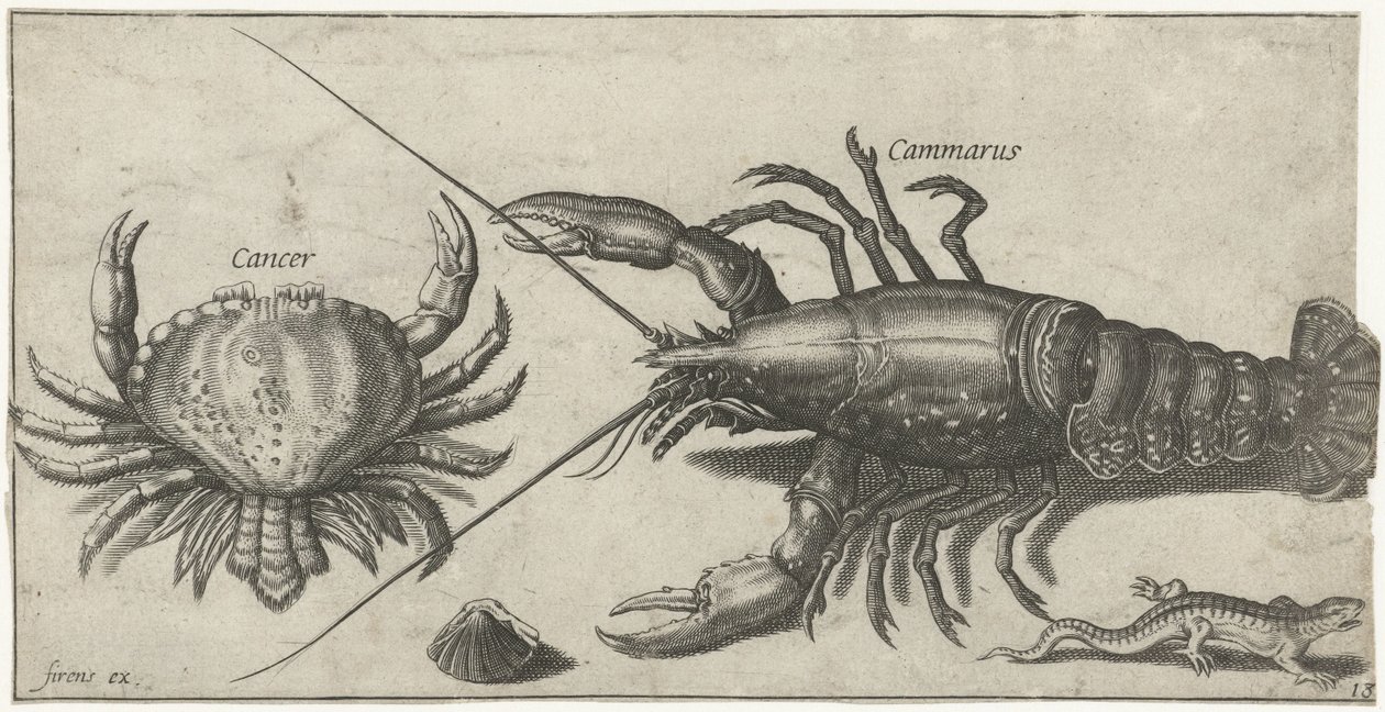 Lobster, Crab, Salamander, and a Shell by Pierre Firens