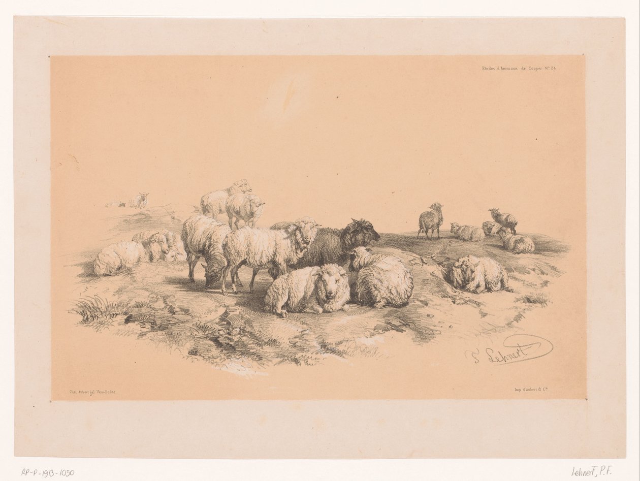 Study of a Flock of Sheep (series title: Animal Studies by Cooper) by Pierre Frédéric Lehnert