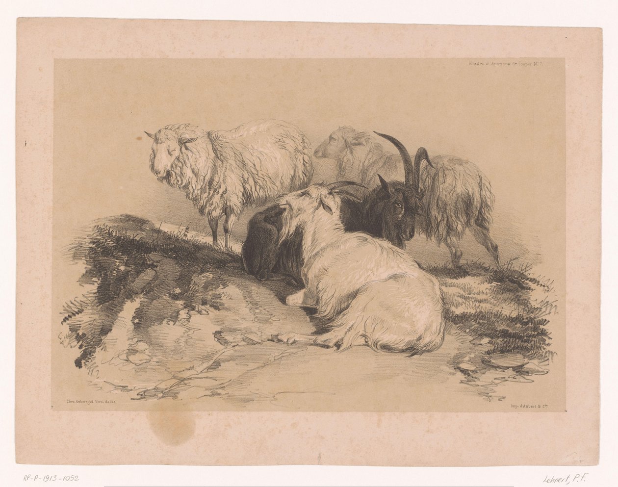 Study of sheep and goats by Pierre Frédéric Lehnert