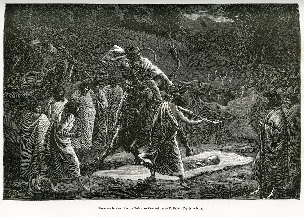 A funeral ceremony for the Todas, a small pastoral community in the Nilgiri plateau (South India), during the funeral, cattle are sacrificed. Engraving by P.Fritel, to illustrate the recital souvenirs of a voyage to the Nilgherries, by Madame Janssen, in 1 by Pierre Fritel