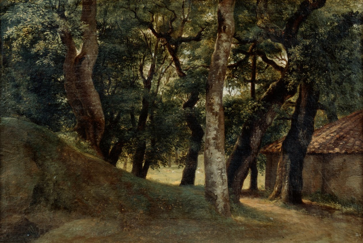 Forest of the Villa Borghese by Pierre Henri de Valenciennes