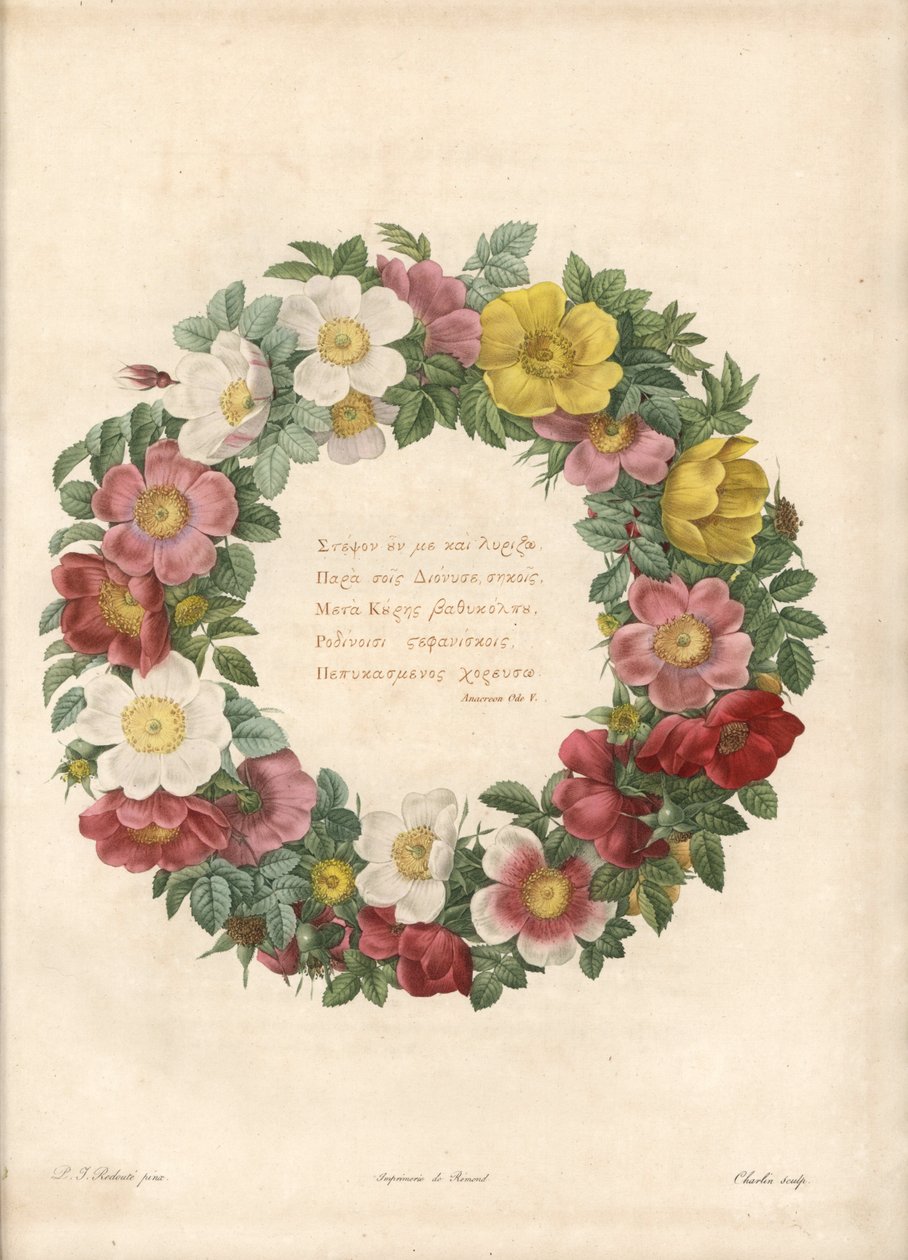 Crown of Roses with a Greek Motto - Engraving by Charlin, After an Illustration by Pierre Joseph Redoute, from Les Roses by Pierre Joseph Redouté