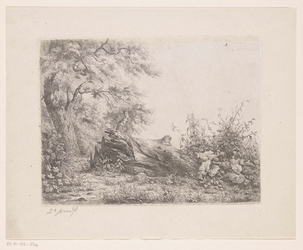 Fallen Tree at the Edge of the Forest by Pierre Louis Dubourcq