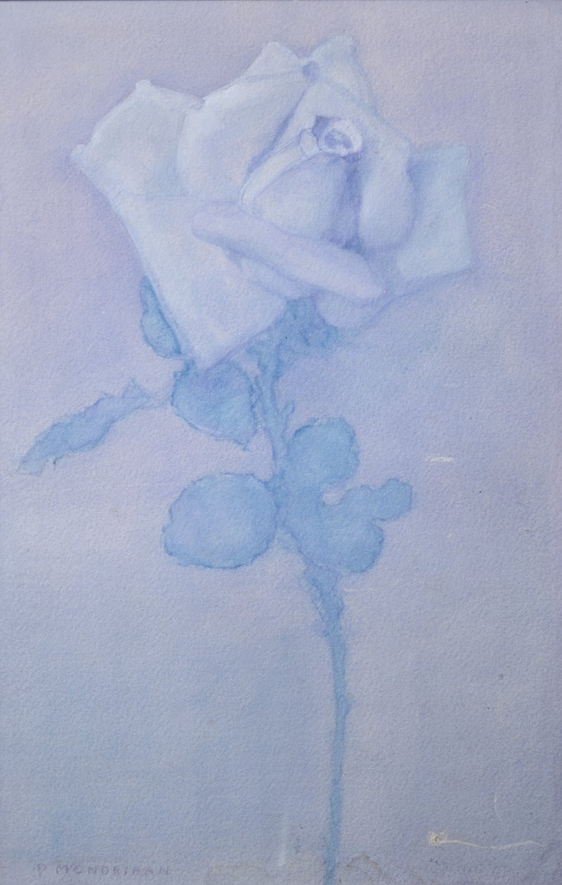 White Rose by Piet Mondrian