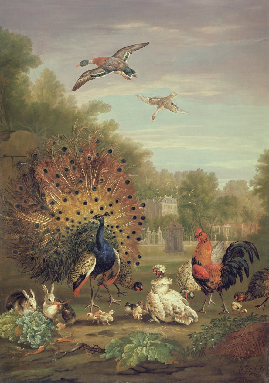 Peacock and Rabbits in a Landscape by Pieter Casteels