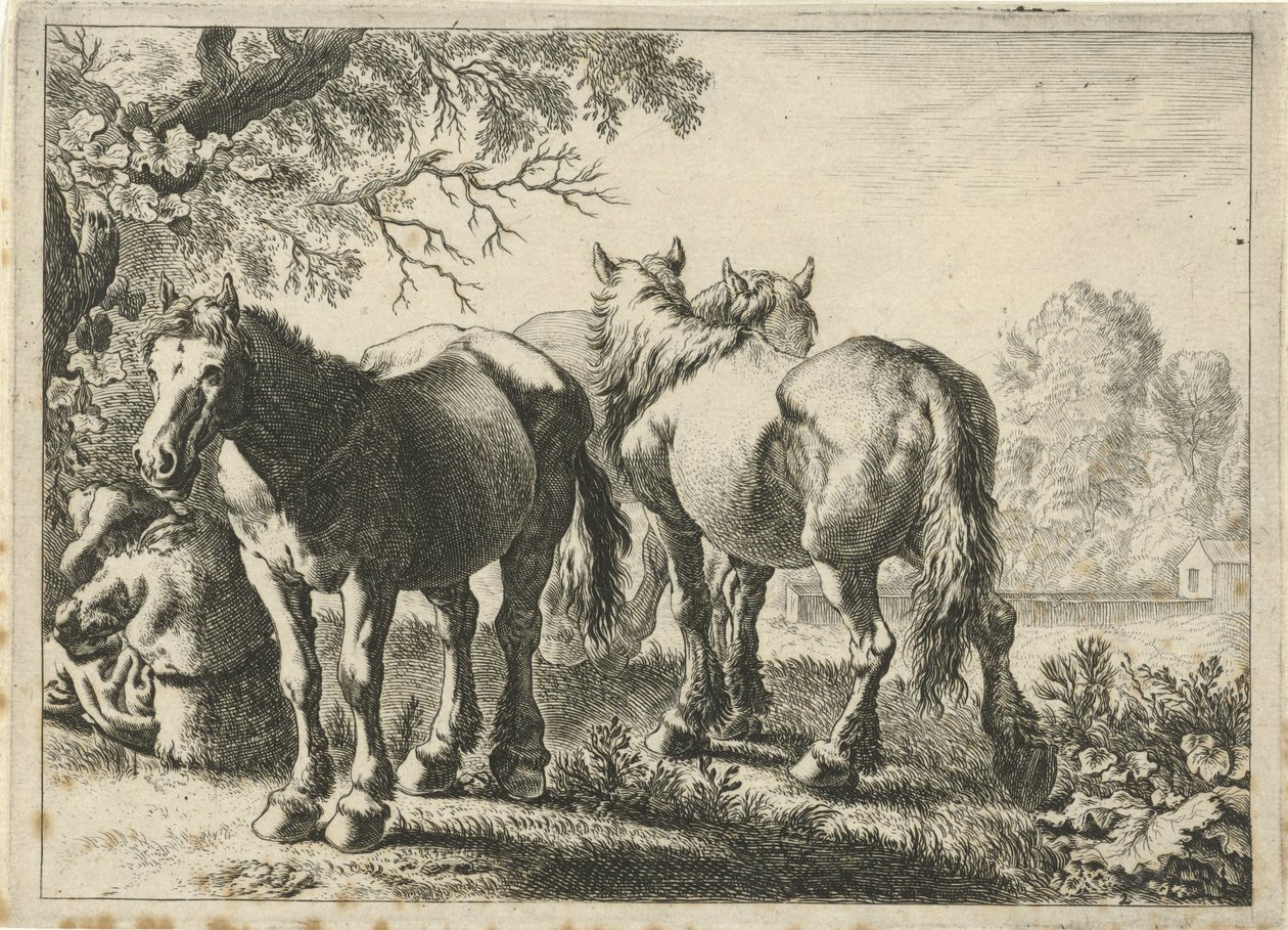 Three Horses and a Farmer by Pieter Bodding van Laer