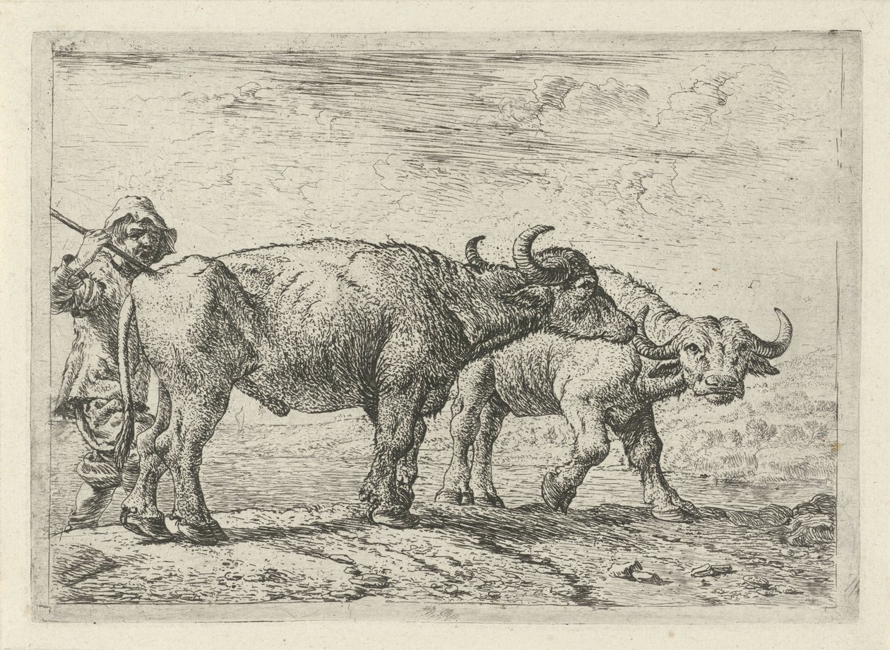 Two Buffaloes and a Shepherd (series title: Various Animals) by Pieter Bodding van Laer
