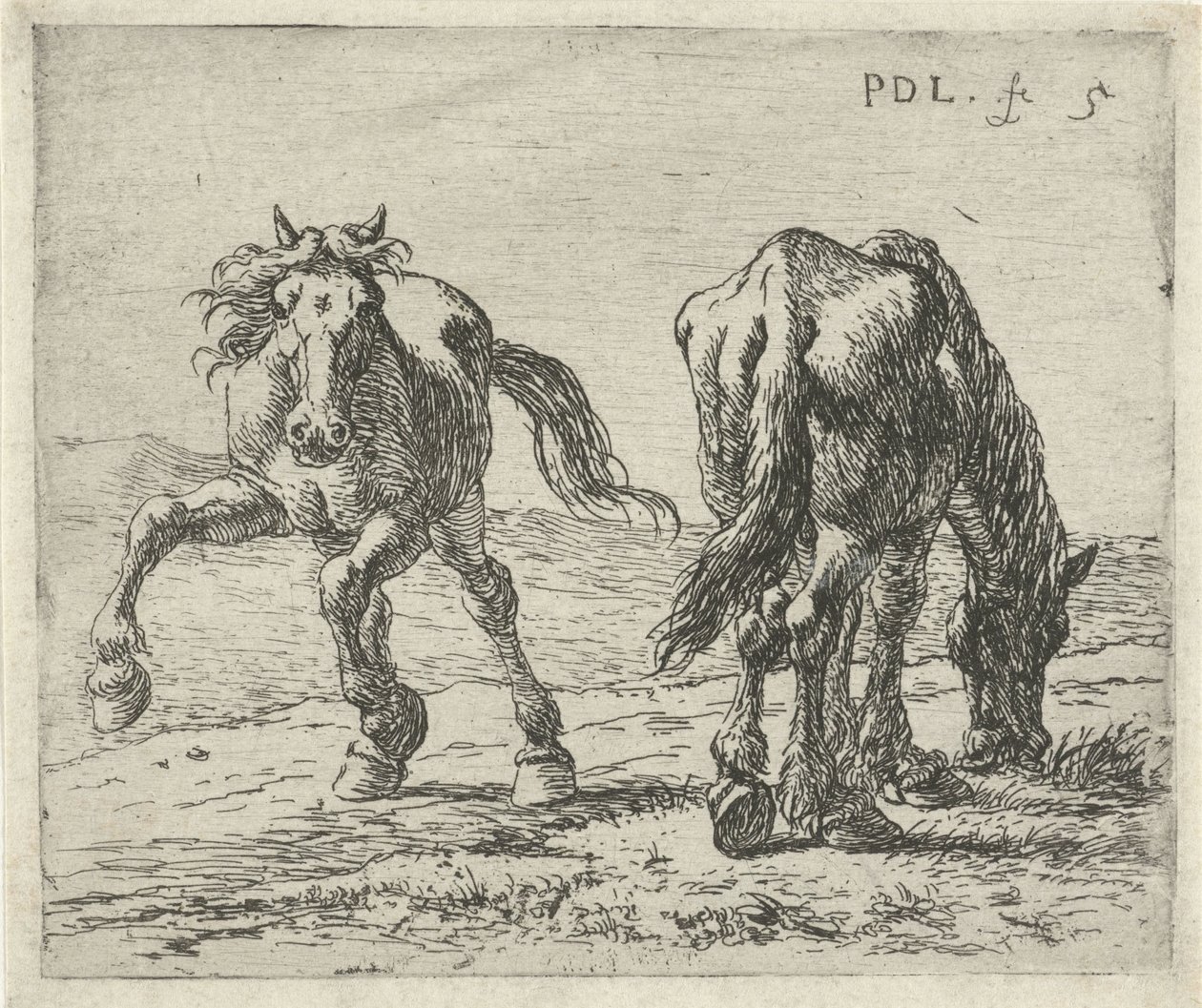 Two Horses in a Meadow (Horses) by Pieter Bodding van Laer