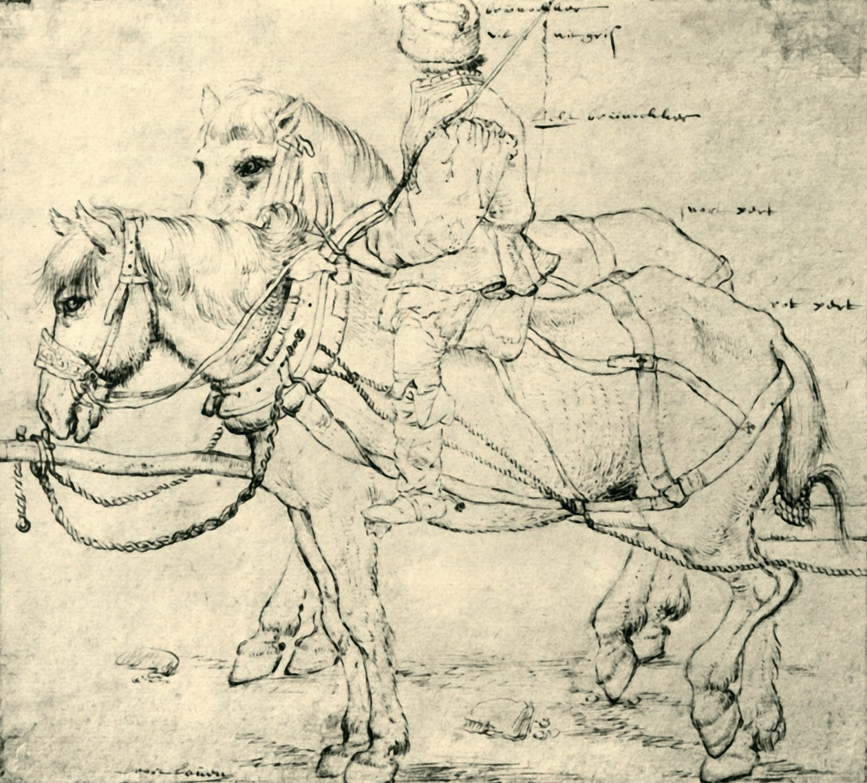 Rider and two horses, 1559-1563, 1943 by Pieter Bruegel the Elder