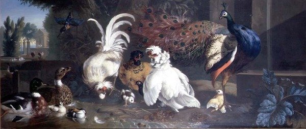 A Peacock, Chickens, Ducks and a Kingfisher by Pieter Casteels