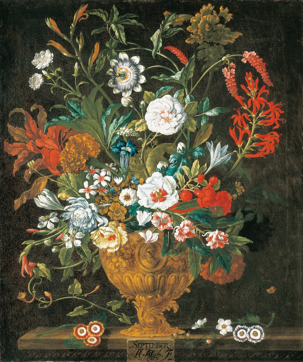 September, from The Twelve Months of Flowers, a floral calendar of still lifes by Pieter Casteels
