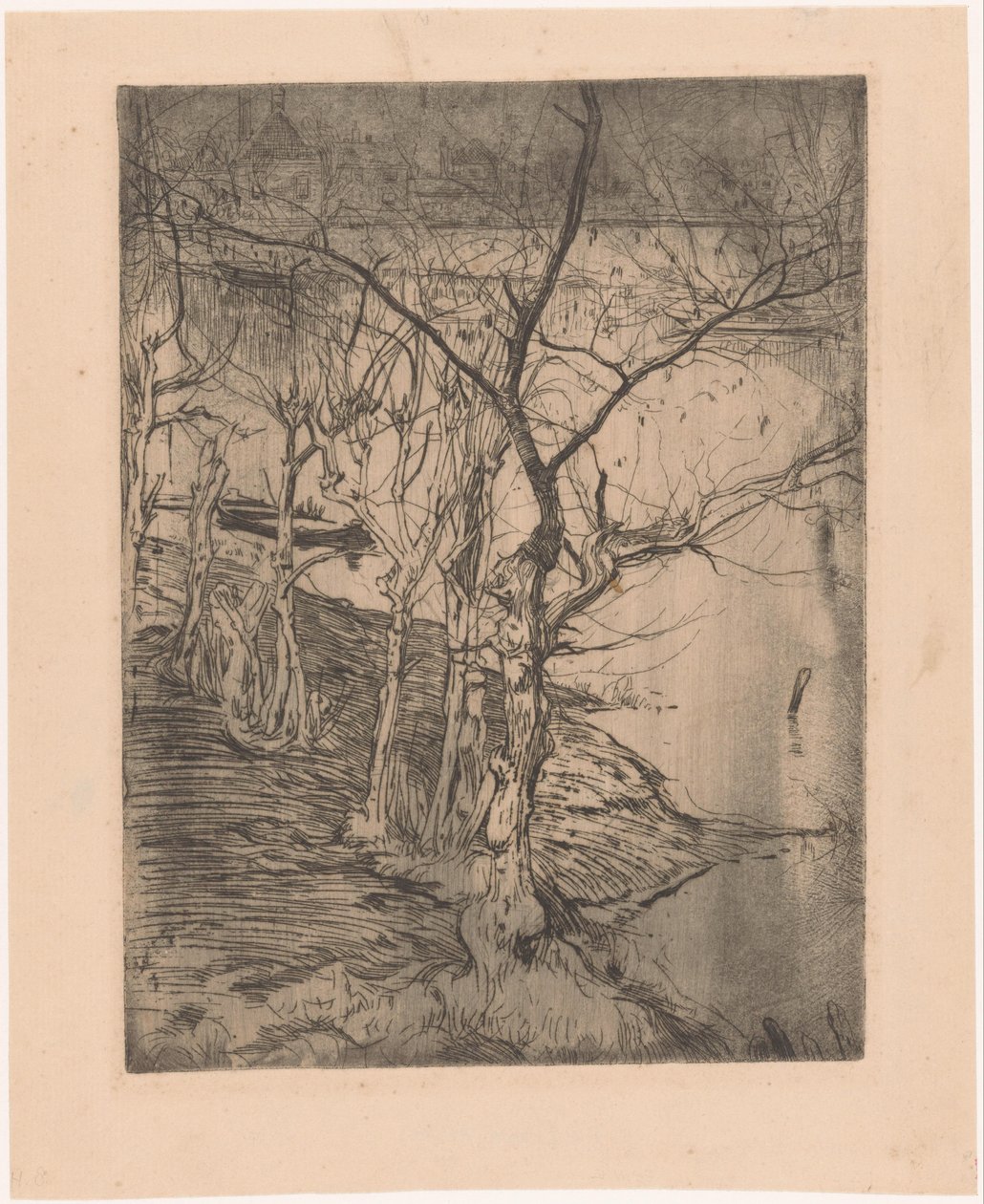 Bare Trees by the Water by Pieter Dupont