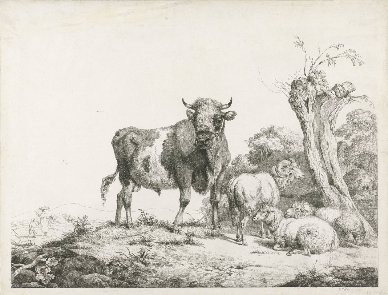 A Bull, a Ram, and Two Lying Sheep by a Pollard Willow by Pieter Gerardus van Os
