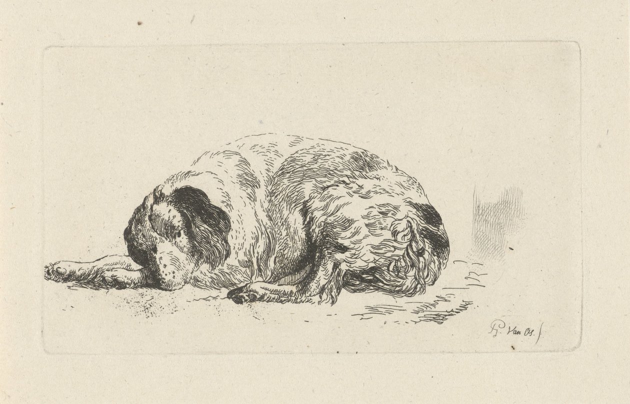 Lying Dog by Pieter Gerardus van Os