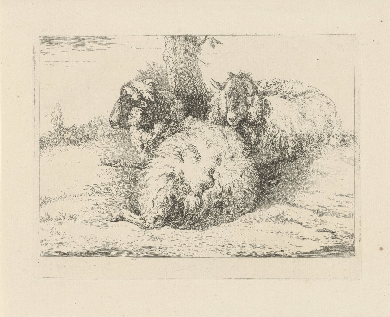 Lying Sheep, Sheep and Goats (series title) by Pieter Gerardus van Os