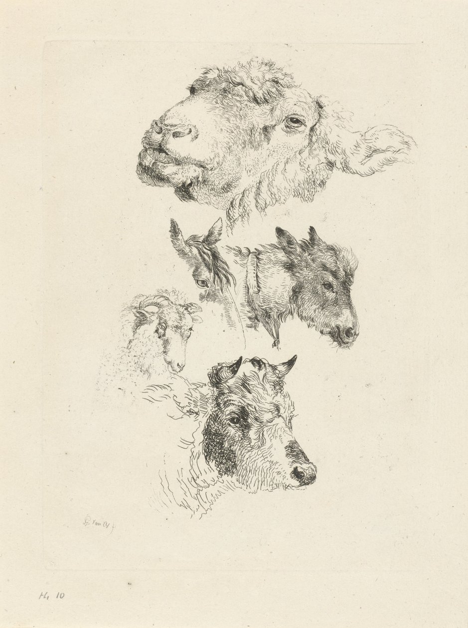 Study Sheet with Sheep, Horse, Donkey, Ram, and Bull Heads by Pieter Gerardus van Os