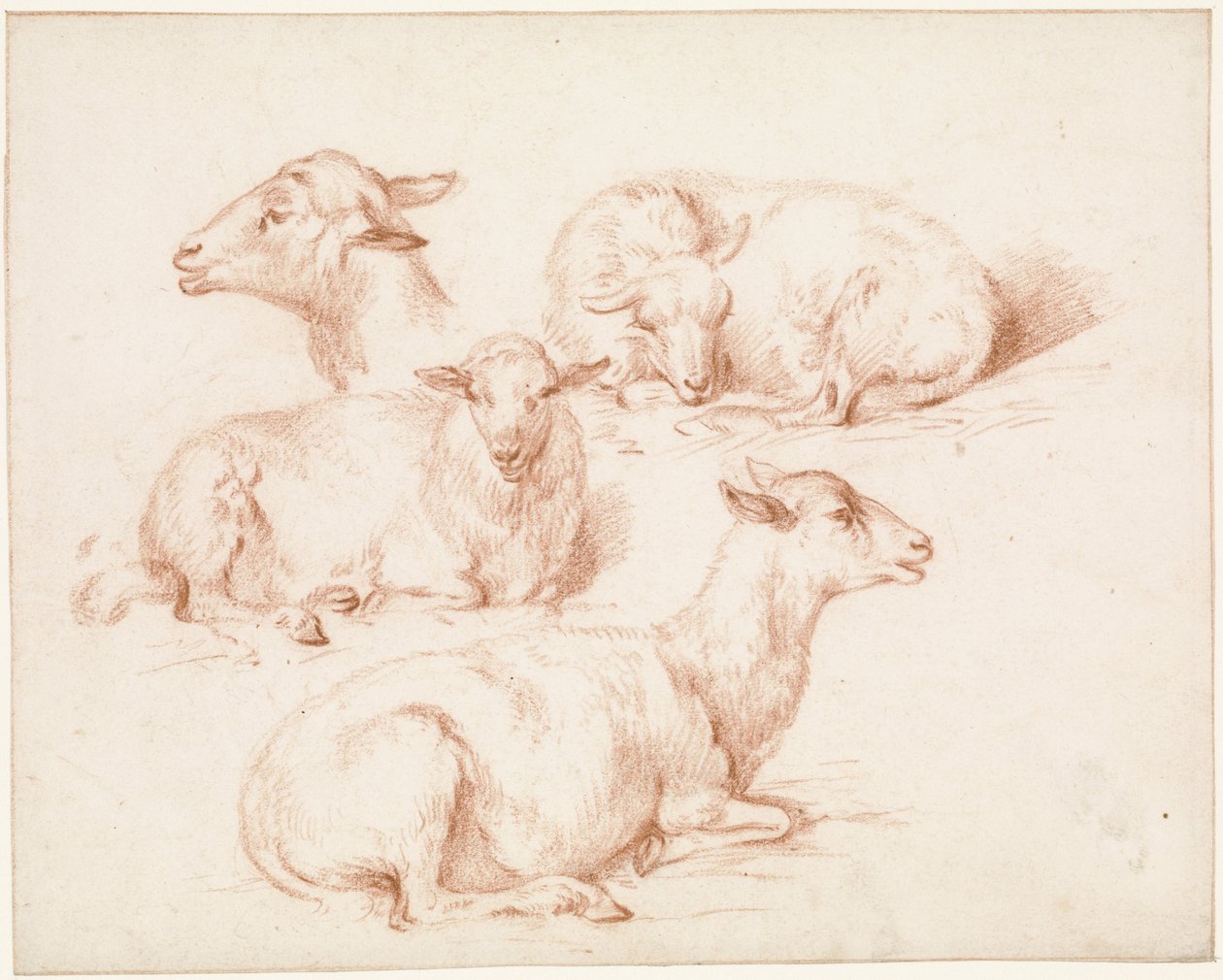 Study Sheet with Sheep by Pieter Jan Guise