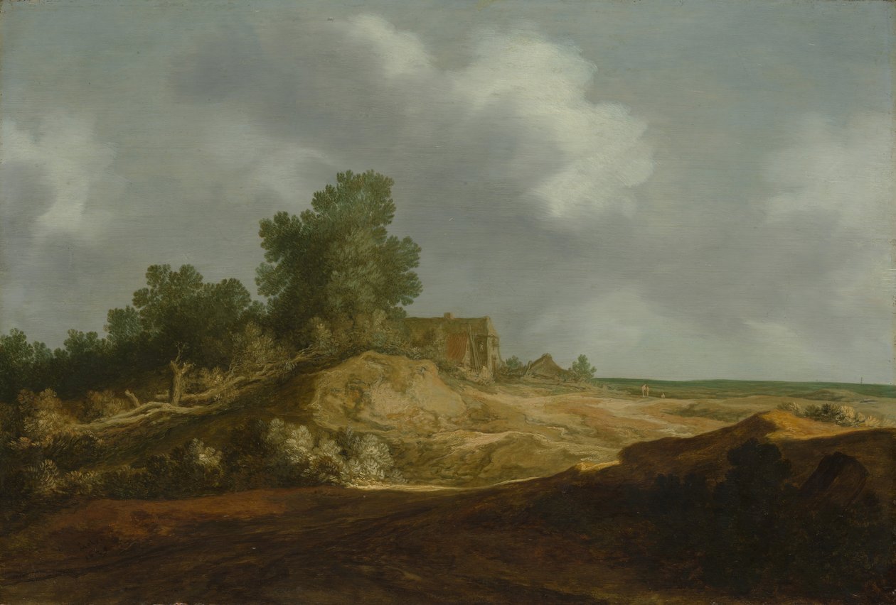 Landscape with a Cottage by Pieter Molijn
