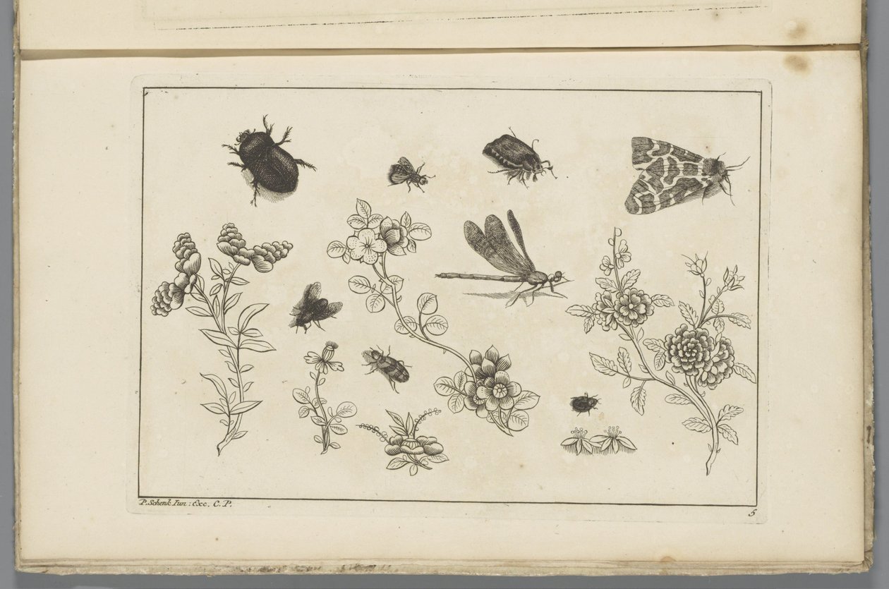 Flowering Branches with Insects by Pieter Schenk (II)