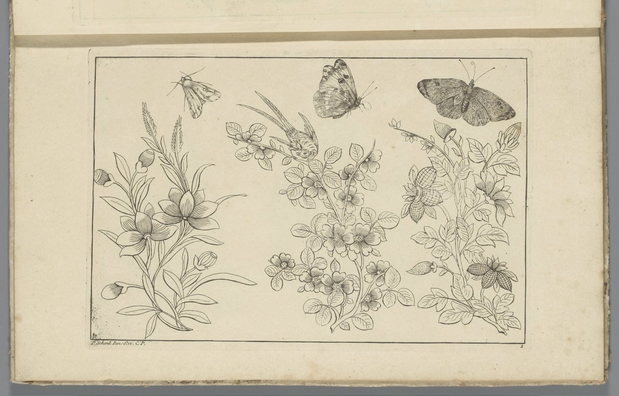Three Flower Branches and Three Butterflies by Pieter Schenk (II)