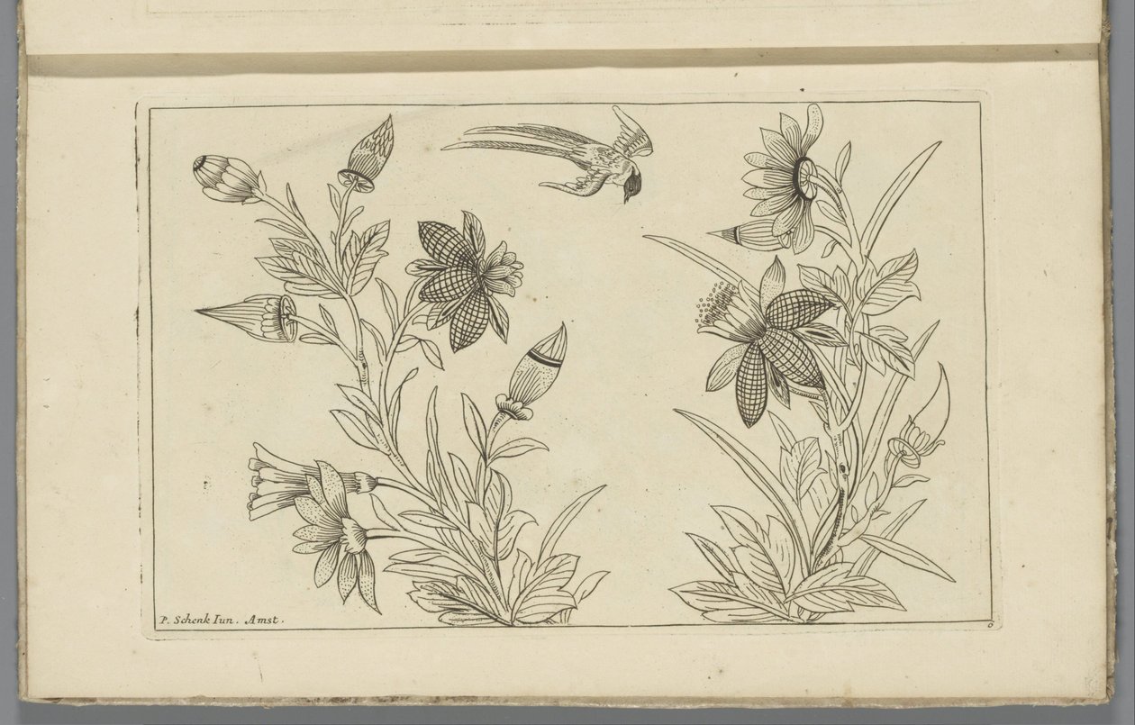 Two Flowering Shrubs and a Swallow by Pieter Schenk (II)
