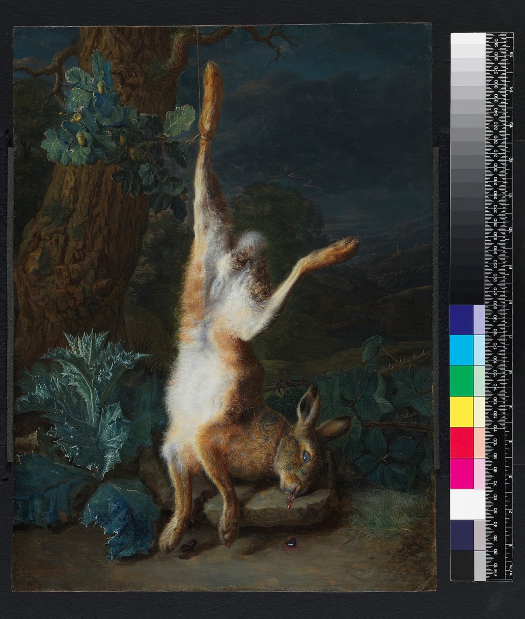 A dead hare, before 1782 by Pieter Snyers