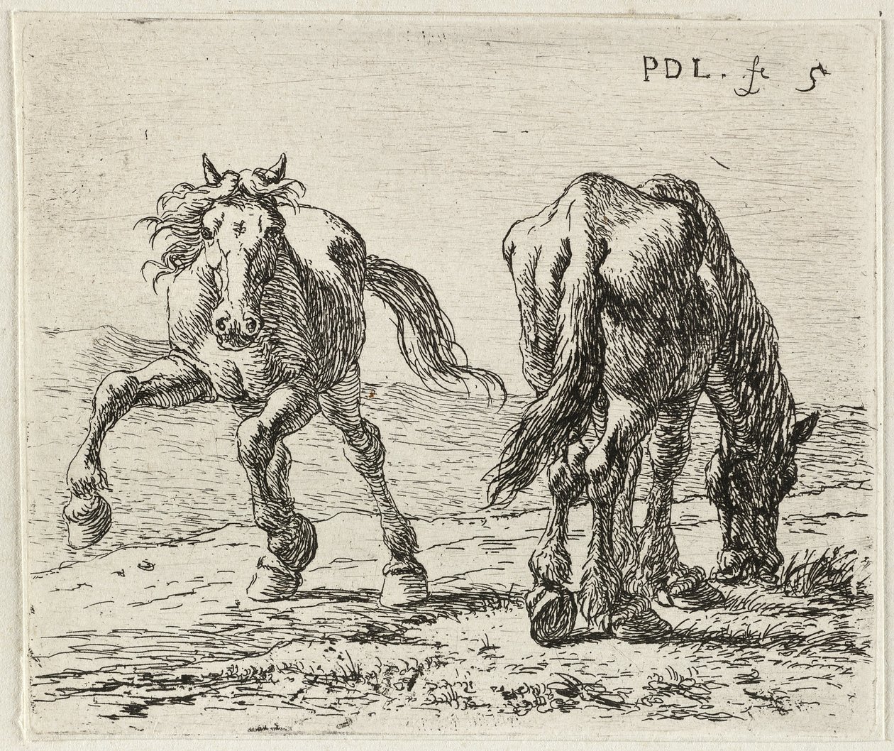 Two Horses in a Pasture by Pieter van Laer