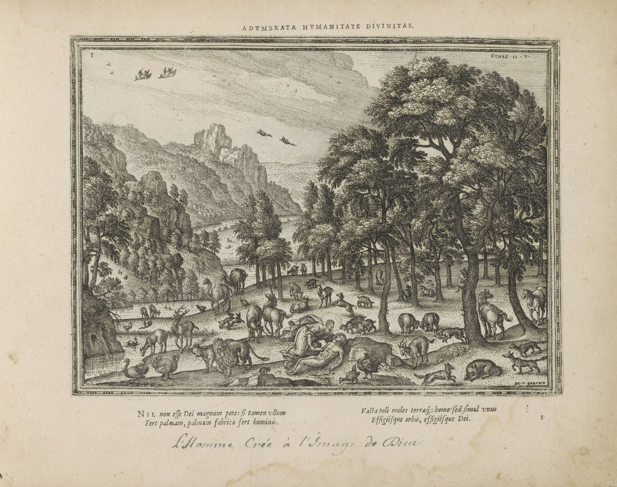 Creation of Man by Pieter van der Borcht (I)