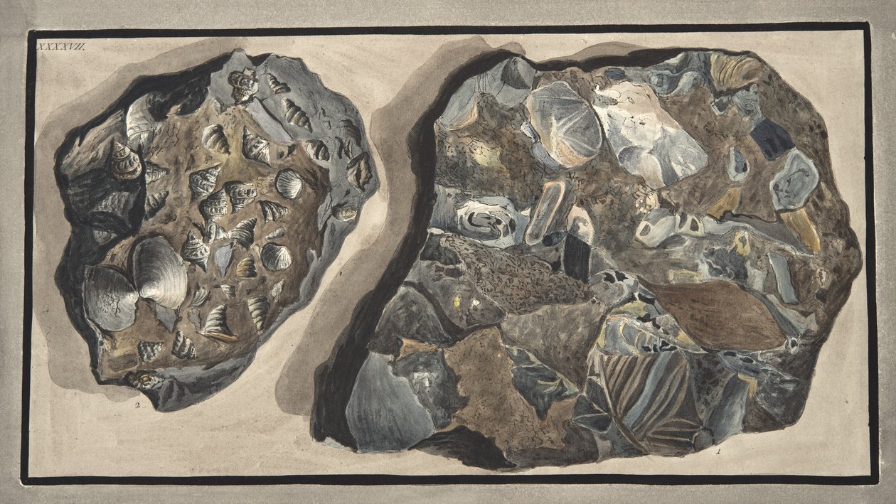 Piece of marble composed of fragments of various sorts of marble found in the Fossa Grande, Plate 47: from 