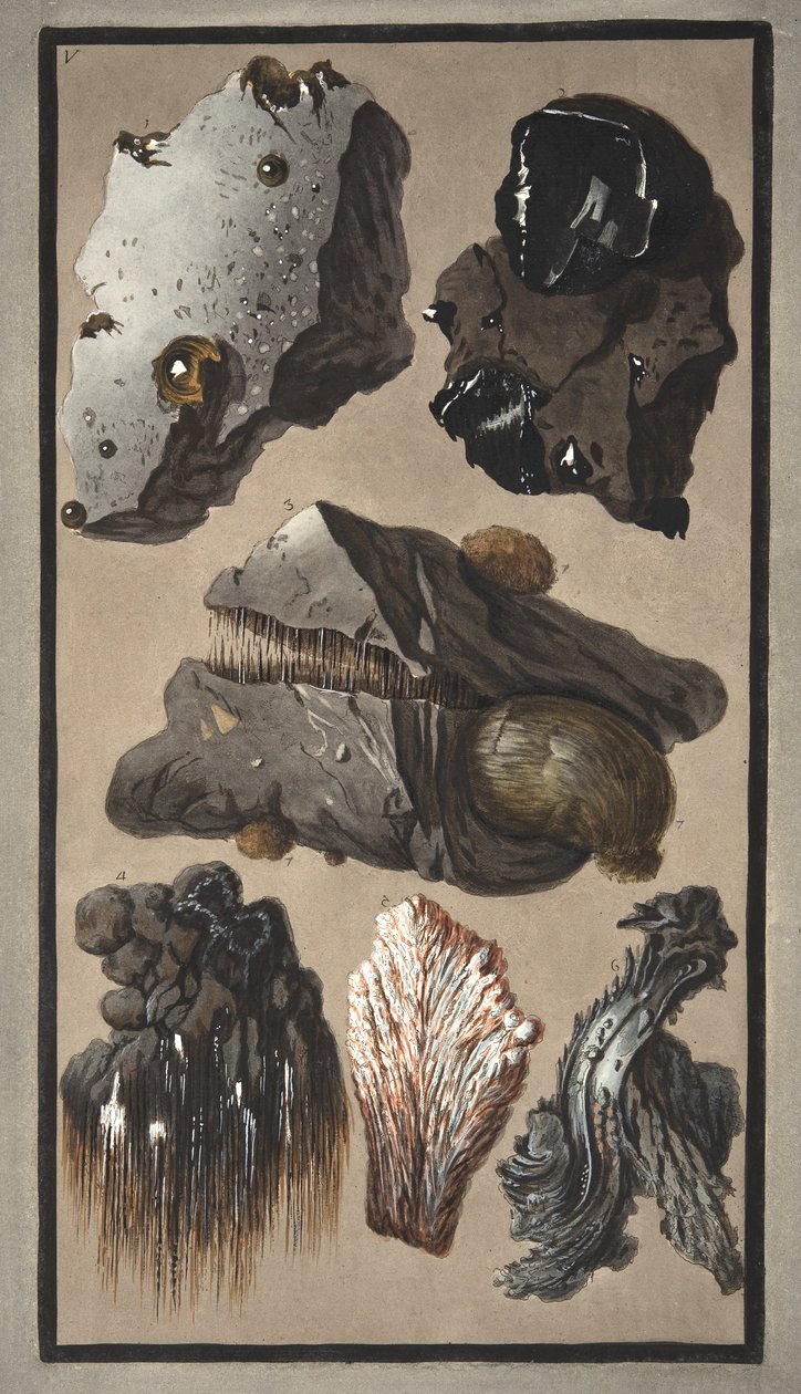 Specimens of Volcanic Matter, from 