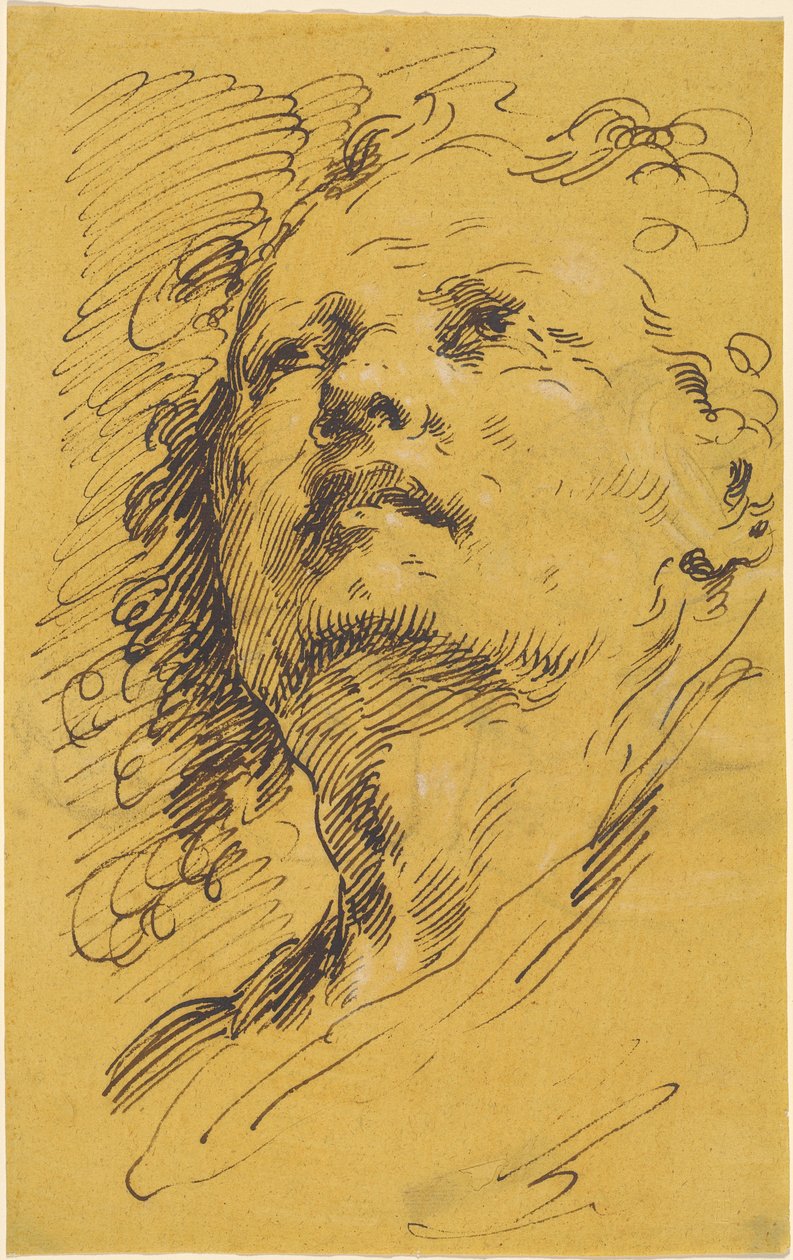 Head of a Man Looking Up by Pietro Antonio Novelli