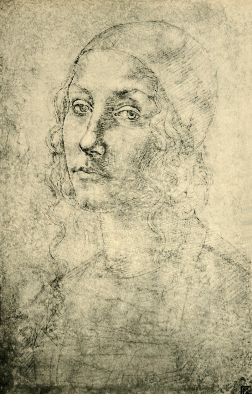 Portrait of a Woman, late 15th-early 16th century, 1943 by Pietro Perugino