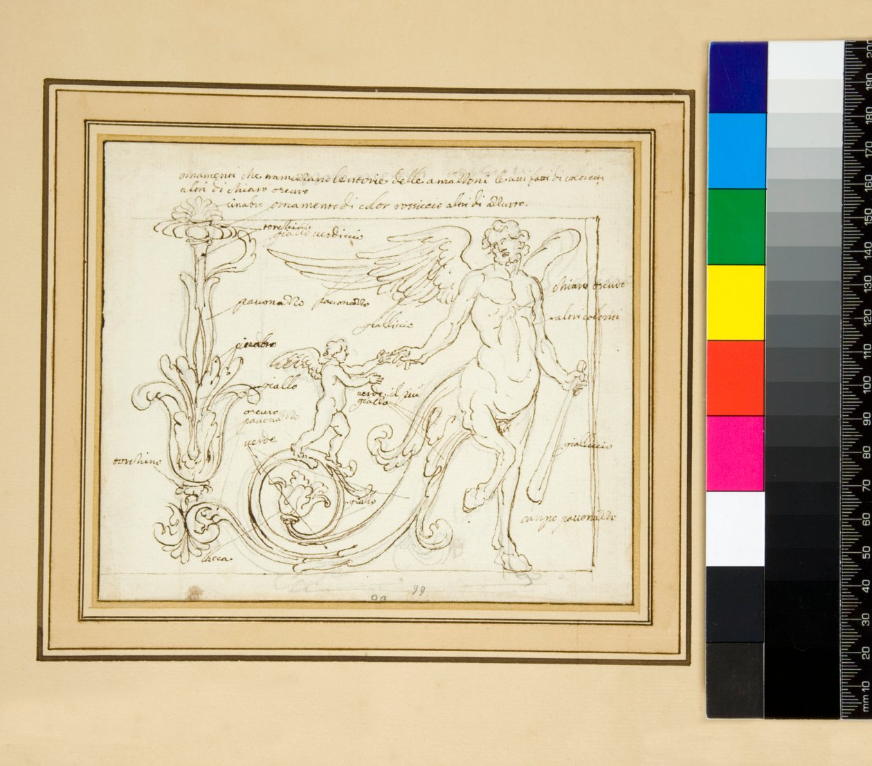 Ornamenti che tramezzano le vitorie delle amazzoni by Pietro Santi Bartoli