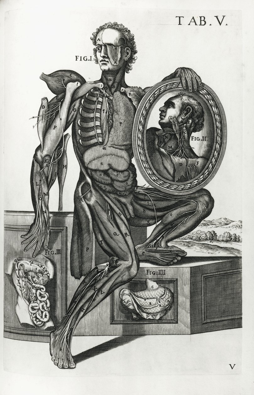 Plate V from 