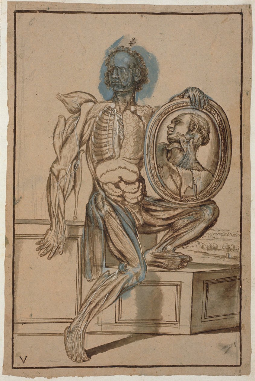 Ms Hunter 653 Plate V Anatomical Drawing, c.1610 by Pietro da Cortona