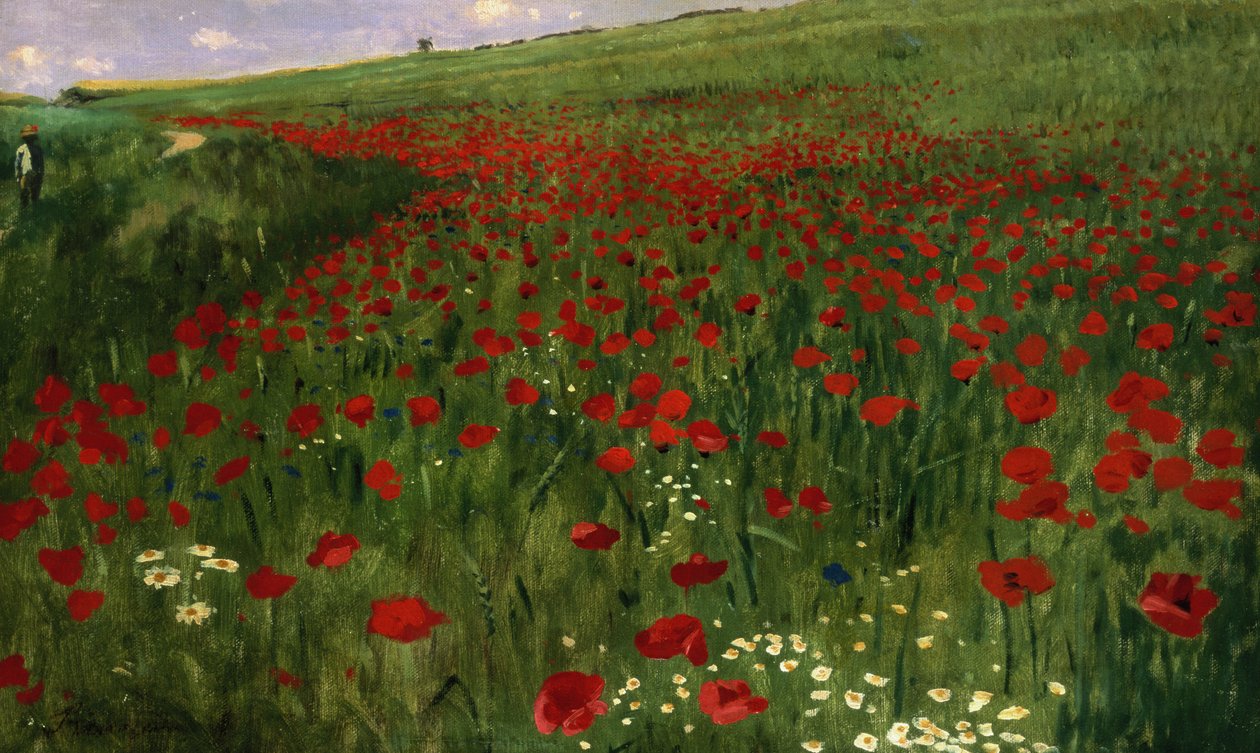The Poppy Field, 1896 by Pál Szinyei Merse
