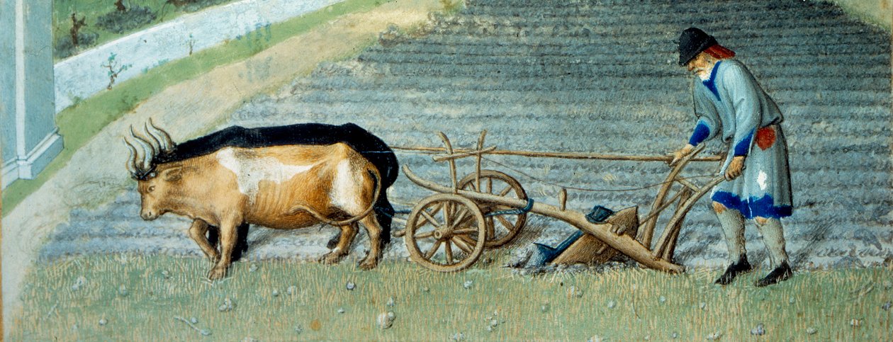 March: snow Agricultural work, peasant plowing a field (detail) by Pol de Limbourg
