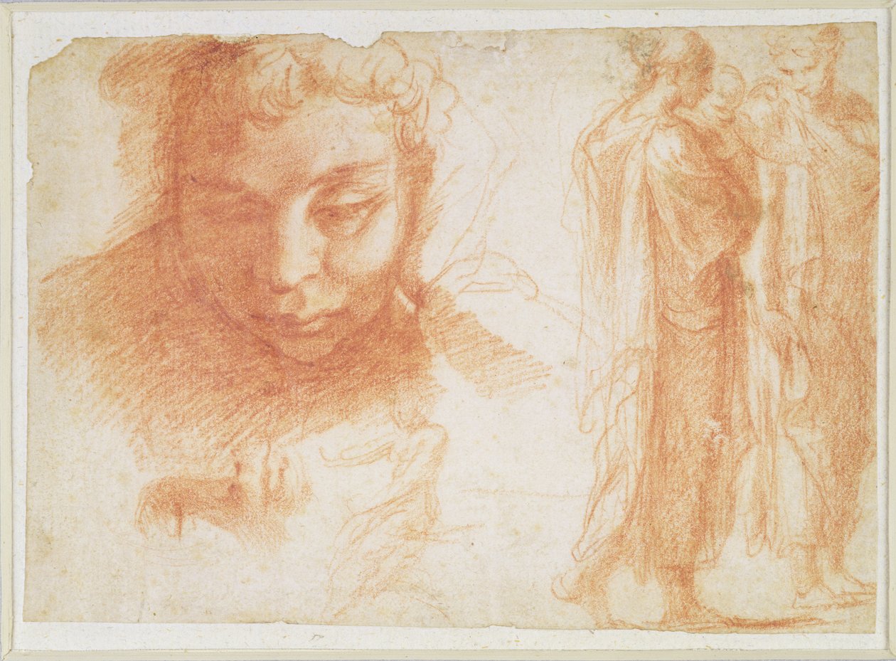 Studies for the head of a youth looking down and for the Virgin of the Annunciation by Polidoro da Caravaggio