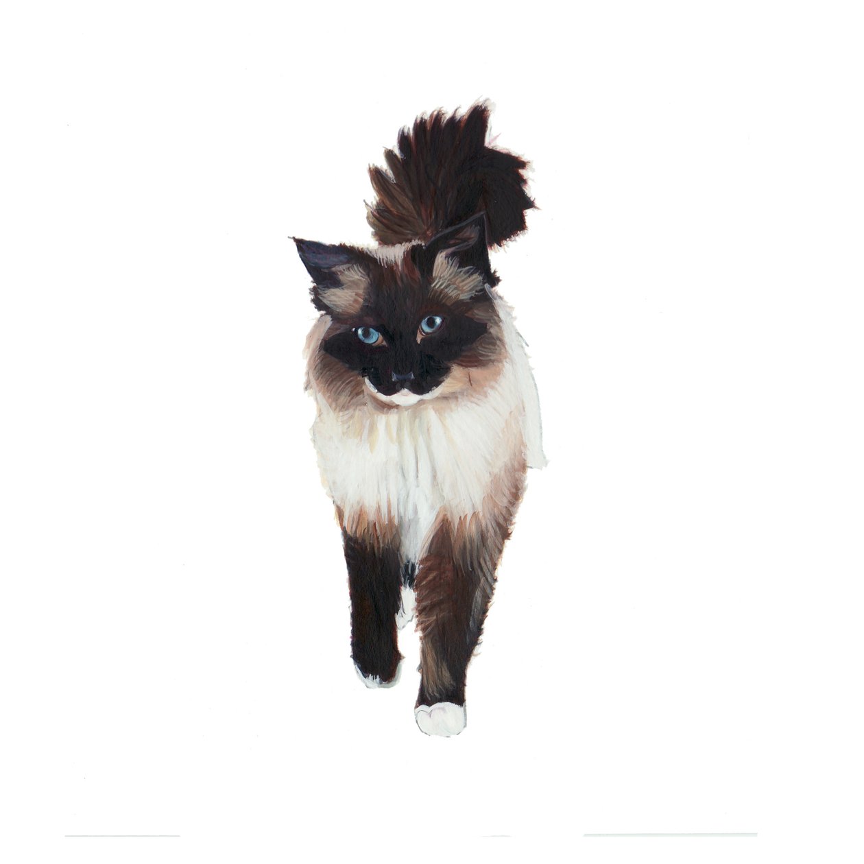 Ragdoll, 2014 by Polly Horner