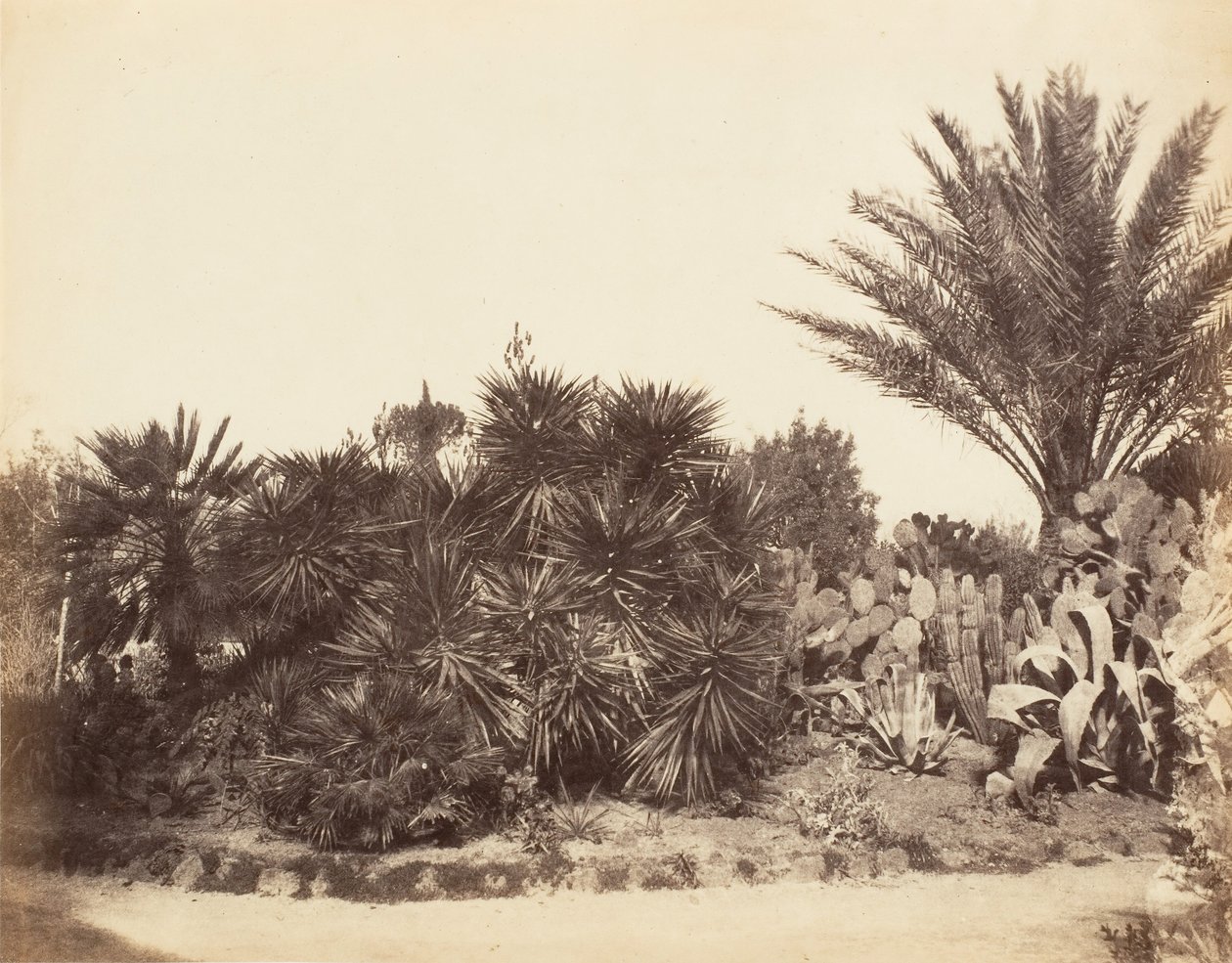 Pincian Garden, Rome, 1853-56 by Possibly by Jane Martha St. John.