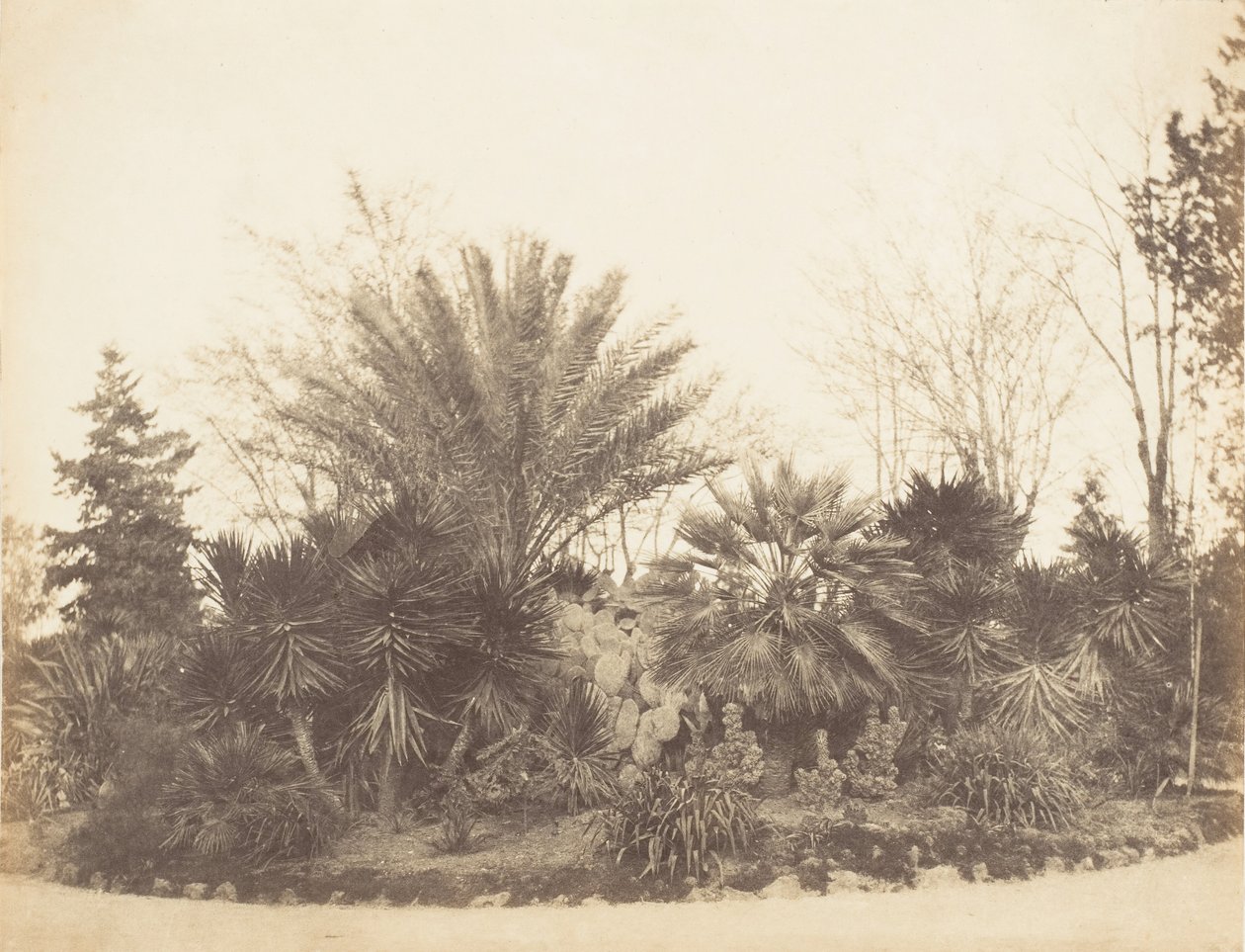 Pincian Garden, Rome, 1853-56 by Possibly by Jane Martha St. John.