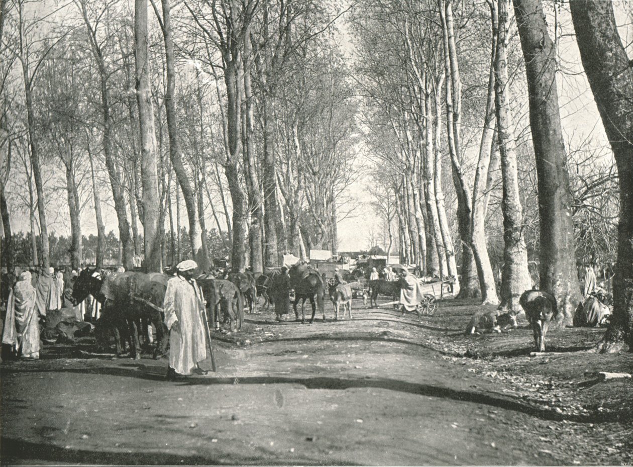 Arab Fair and Market, Boufarik, Algeria by Poulton and Co